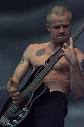 Flea